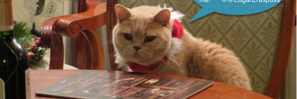 Edgar Eraspuss banner