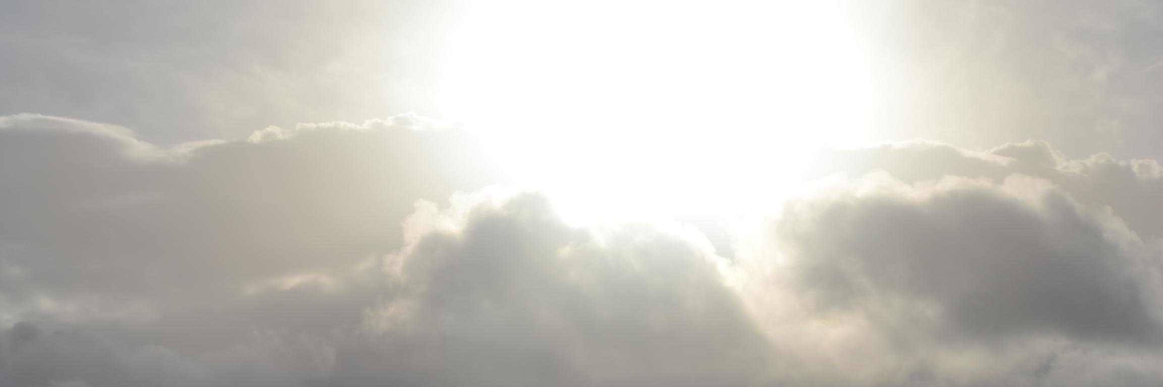 mulatation's profile banner image