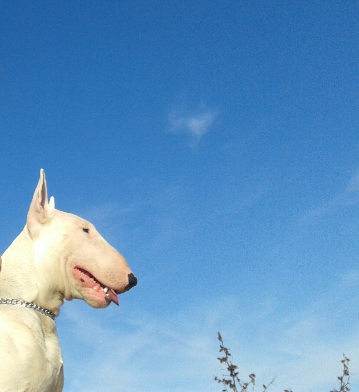 Aitoooret's profile banner image