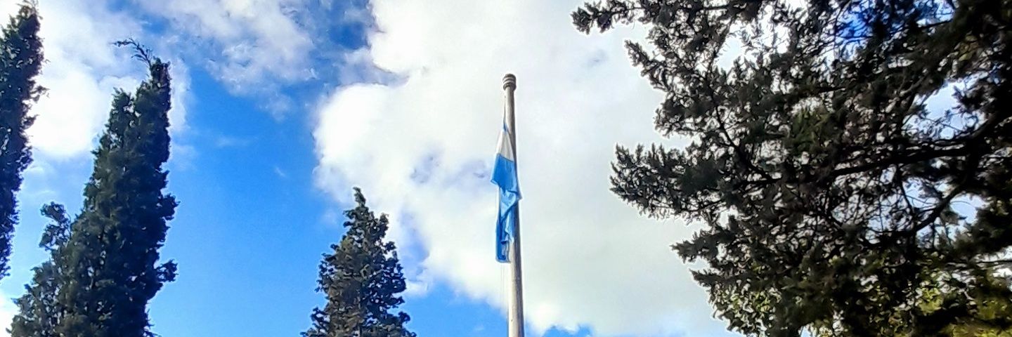 Srta. Campeona. banner