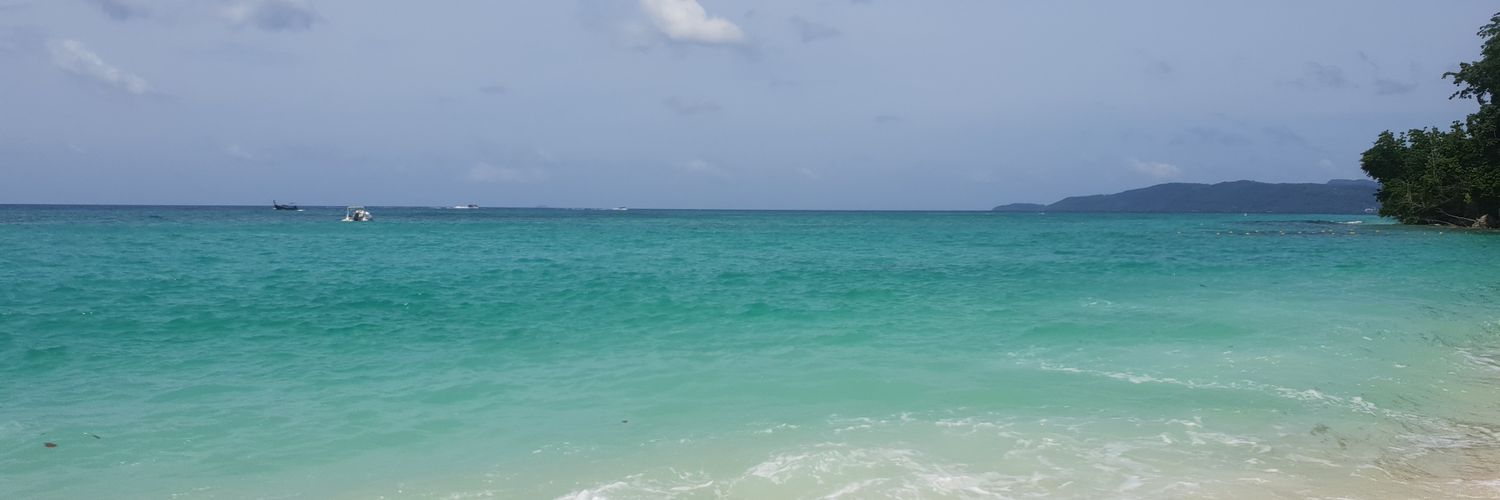 birdthanwa's profile banner image