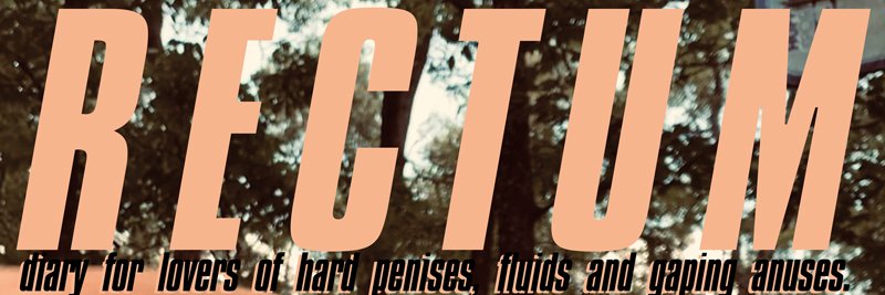 LeRectum's profile banner image