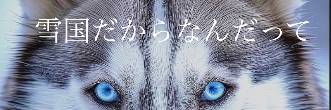Vdm5B's profile banner image