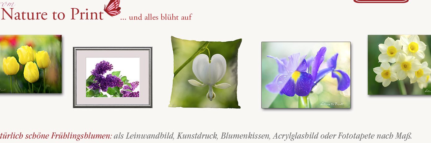 Naturetoprint's profile banner image