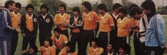 LTP 🧡🦊 🌳 banner