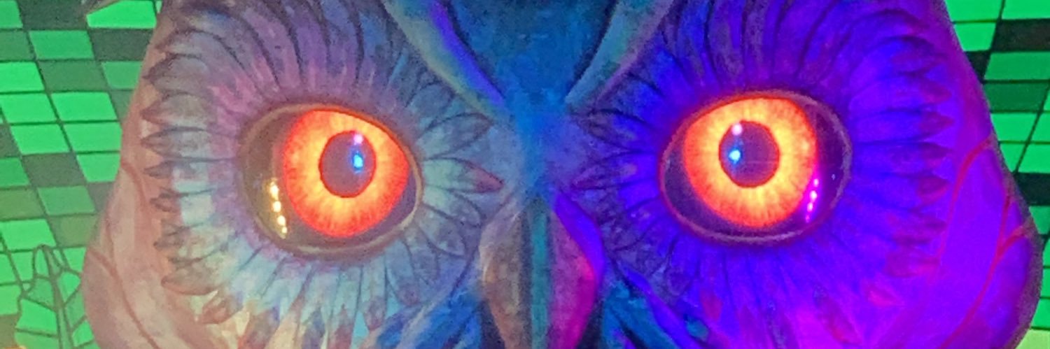 Th3Wizard333's profile banner image