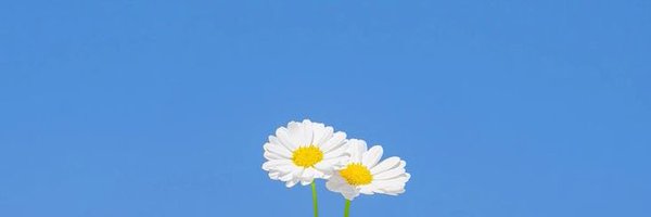 gojir87u Profile Banner