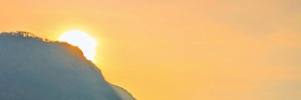 pickypacky Profile Banner