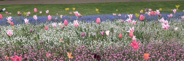 JoPorter101 Profile Banner