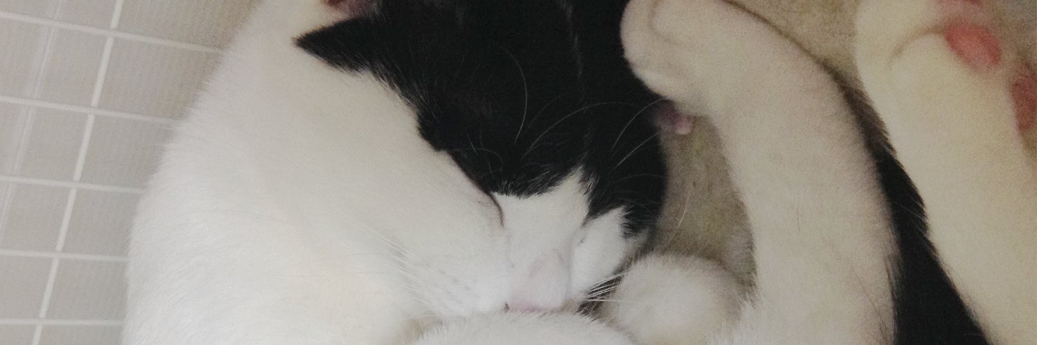 marostyle's profile banner image