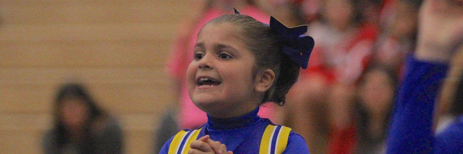 Sal Travaglino banner