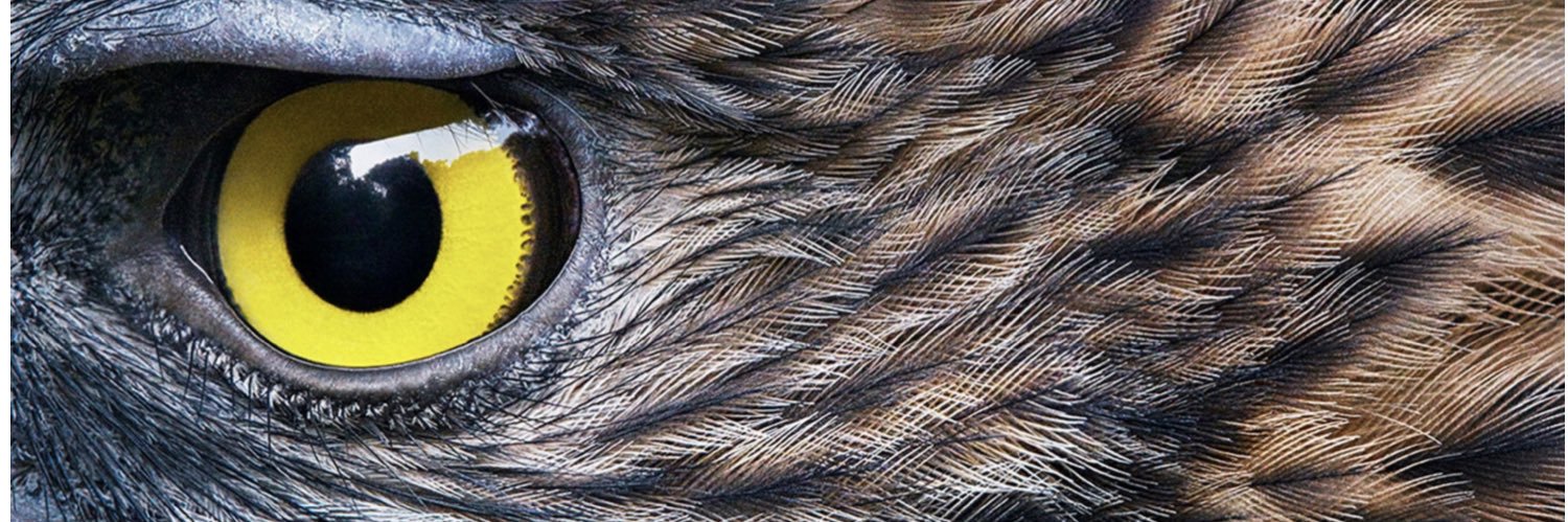 Professor Cristián Bonacič banner