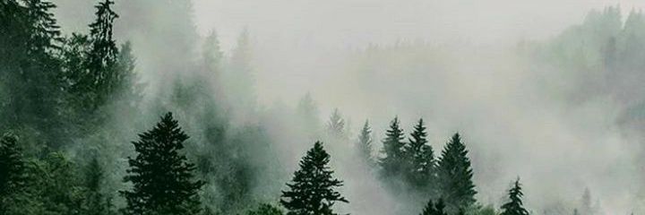 Ethan Dagger banner
