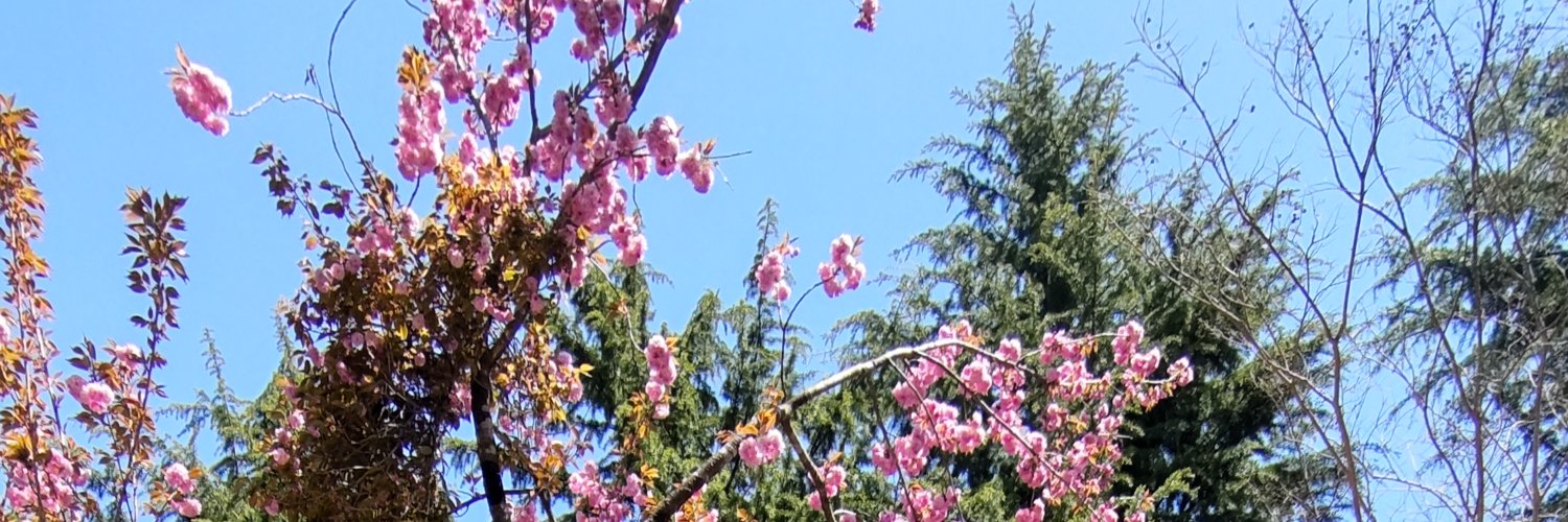 ゆう banner