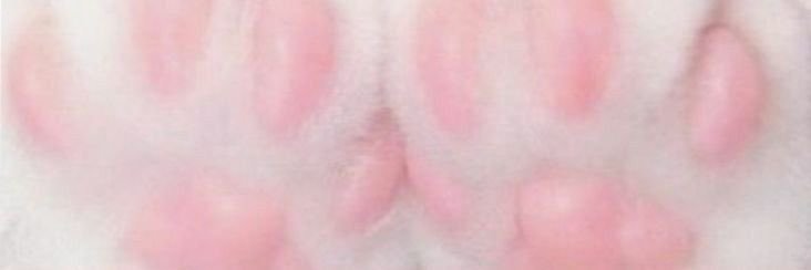 💗 ˚⋆ madi banner