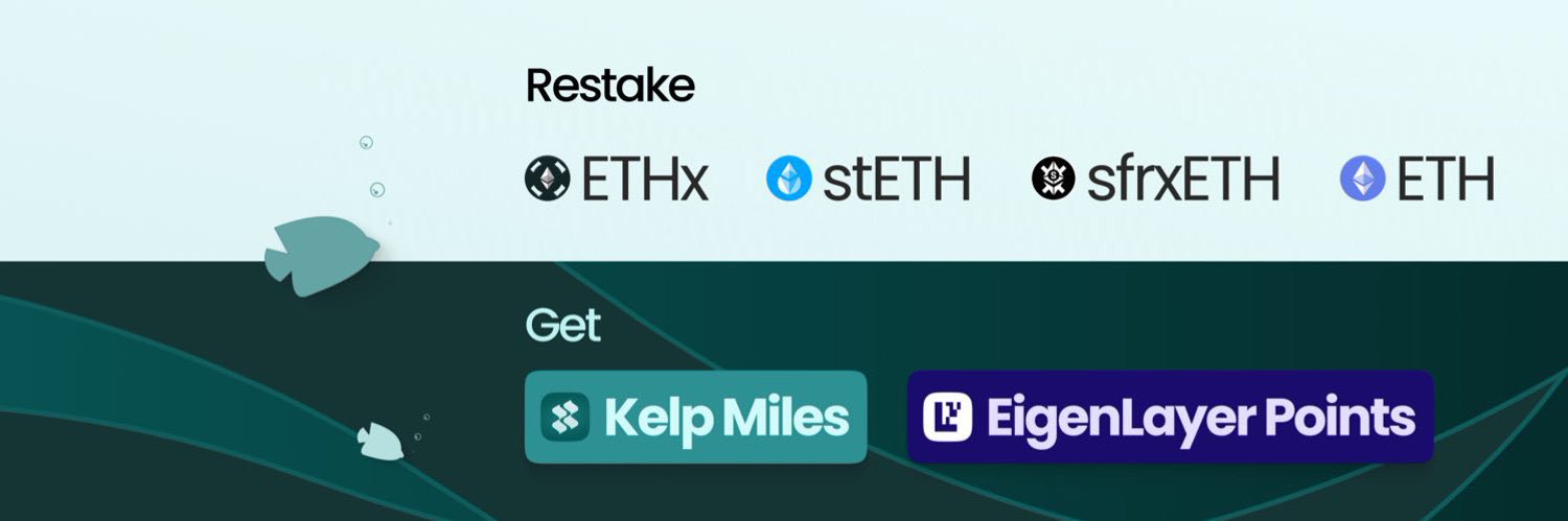 KelpSupport's profile banner image