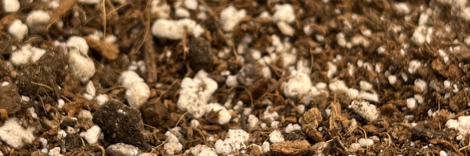 🕵🏾🕵🏾🕵🏾 banner