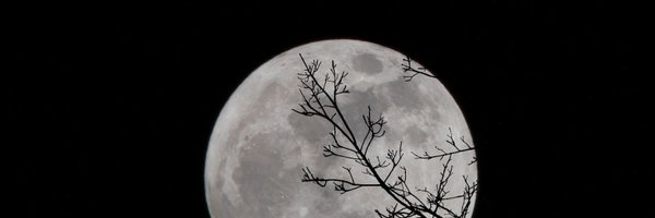 Mystandorb Profile Banner