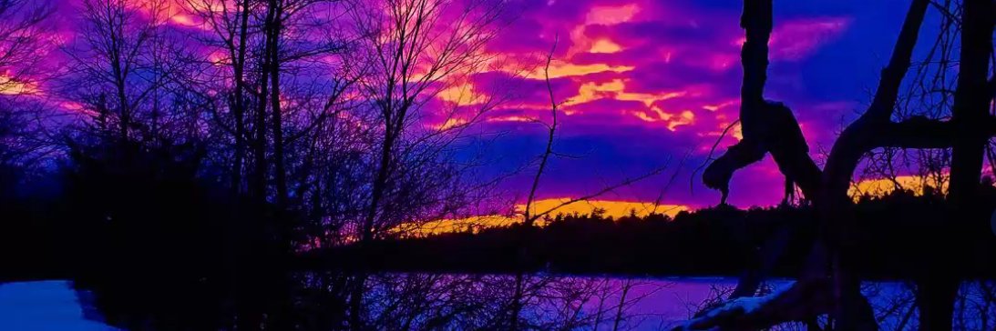 artwizards.crypto banner