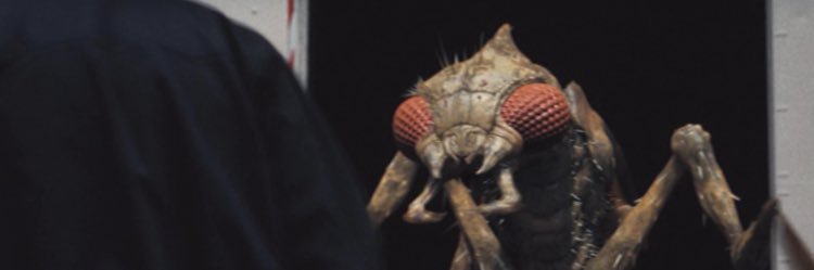 TheMegopteran2000 banner