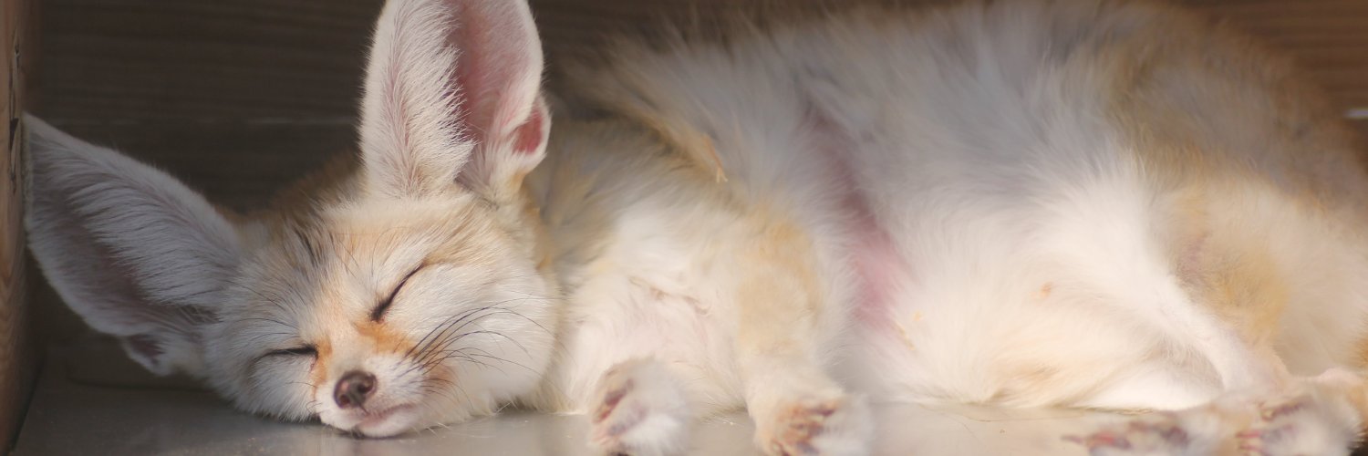 HalHiseas's profile banner image