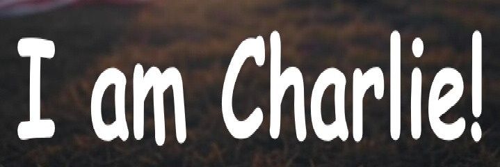 Ryan W banner