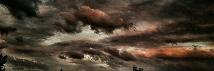 naringl5's profile banner image