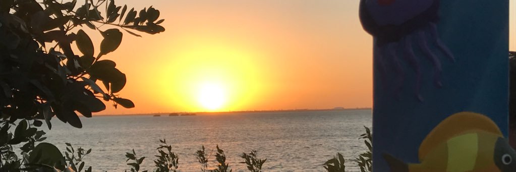 RCorderoSalas's profile banner image