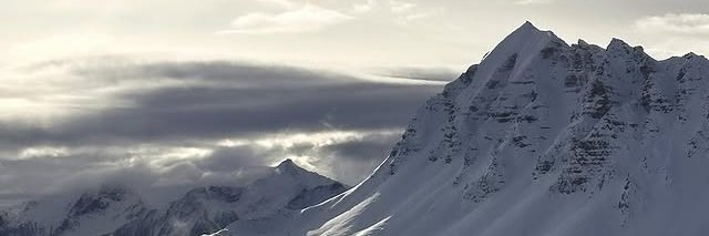 Simone_OvO_'s profile banner image