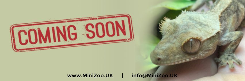 MiniZooUK's profile banner image