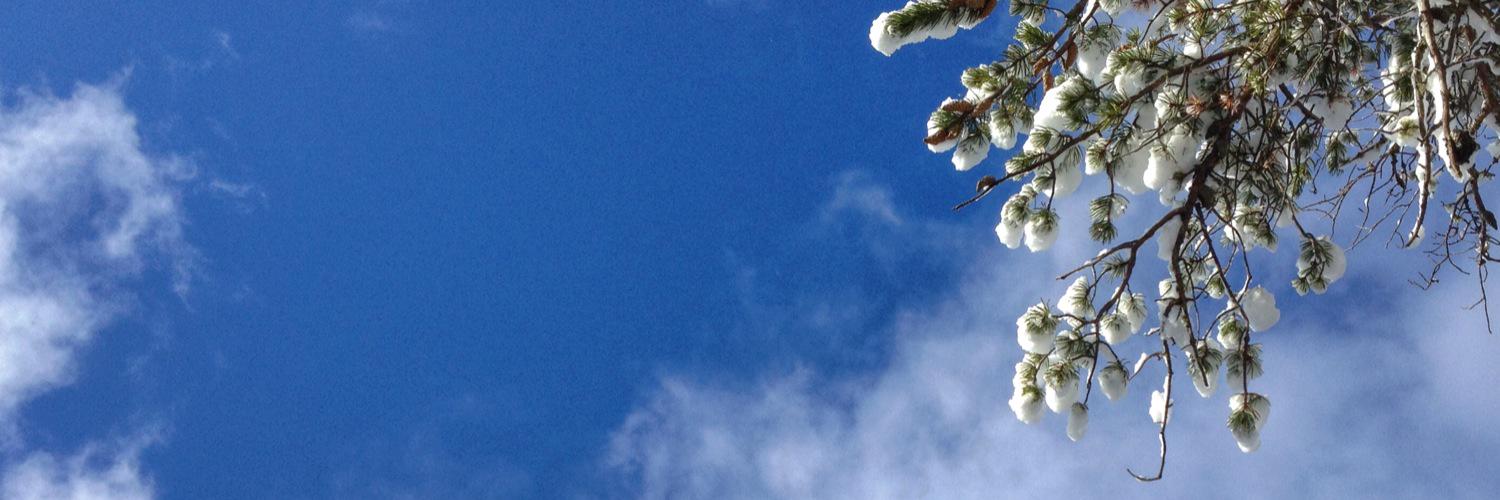 BlanchardBasil's profile banner image