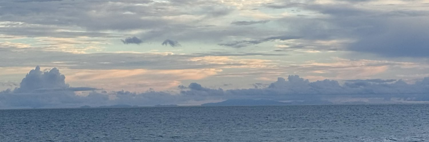 MplD05's profile banner image