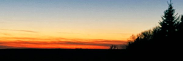 avery_cast Profile Banner