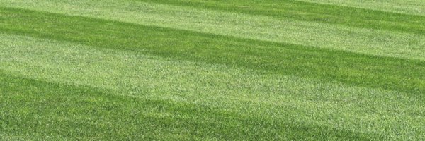 carlocinabro249 Profile Banner