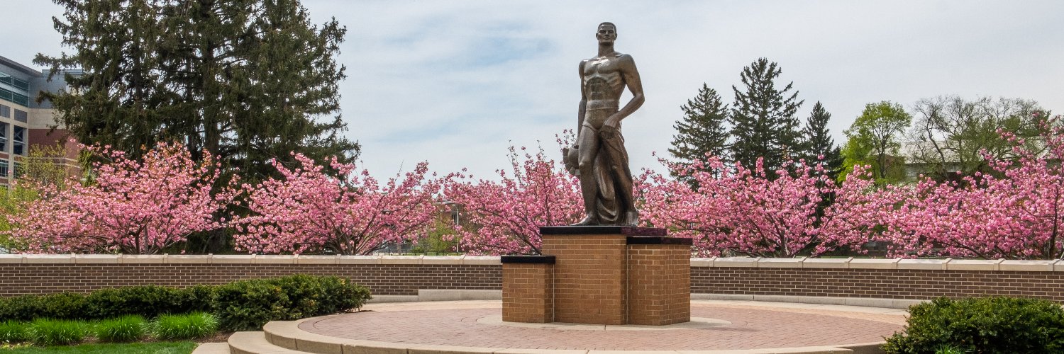 MSU News's banner