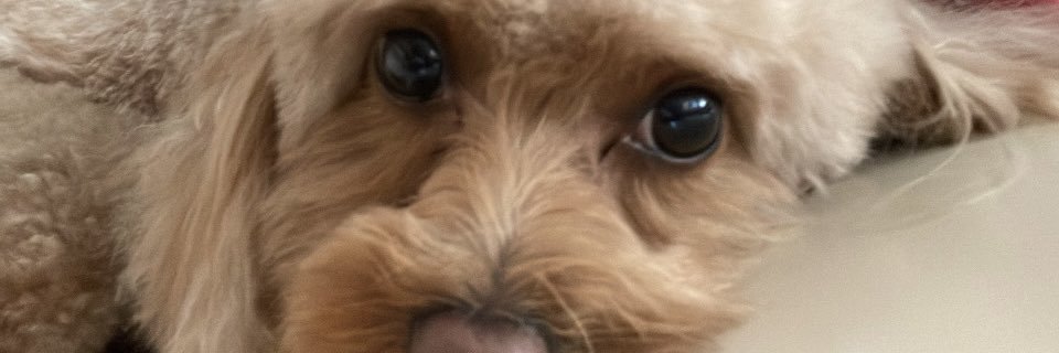 emilyy__a's profile banner image