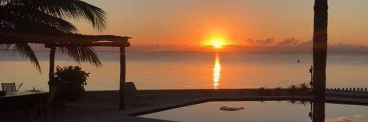 Hirving Trejo banner