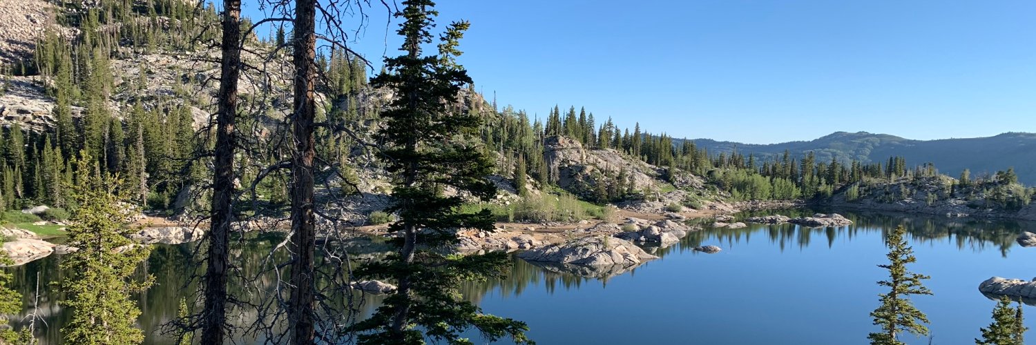 John D. Sutter banner