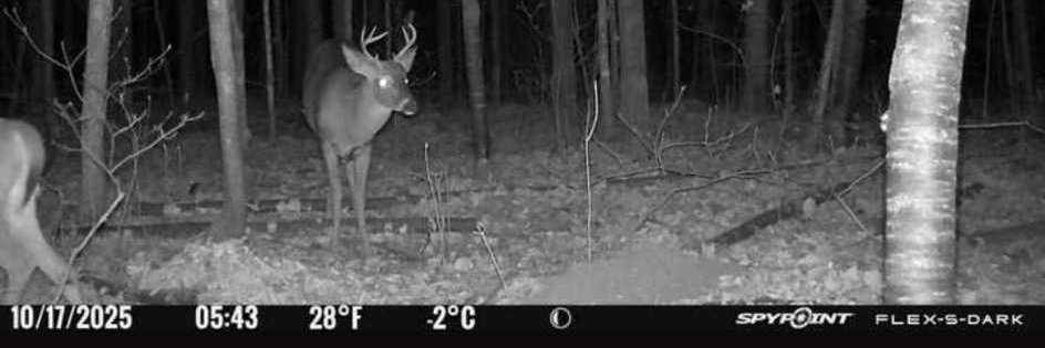 Robert ''Bob'' Ette banner