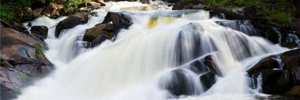 WakefieldMill Profile Banner
