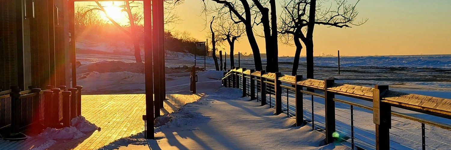 TraciDonnelly_ banner