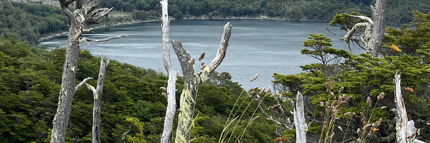 Rolf Salvioli banner