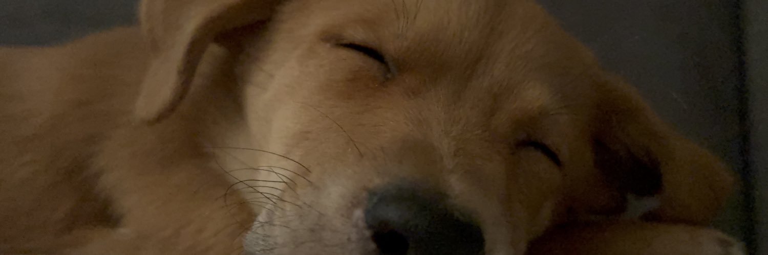 anaprocopia's profile banner image