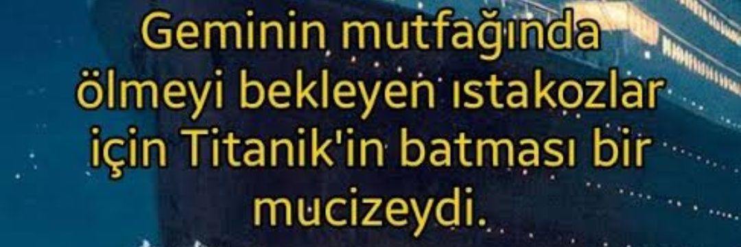 demir_av06's profile banner image