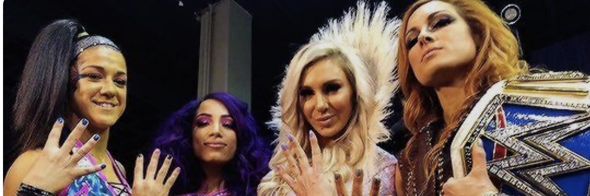 wwe fan banner