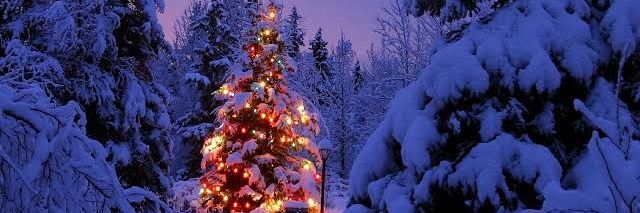 Navidad2022's profile banner image