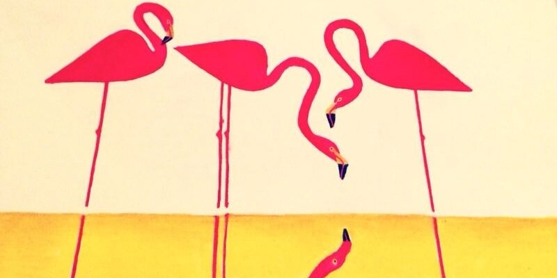 viguipongo's profile banner image