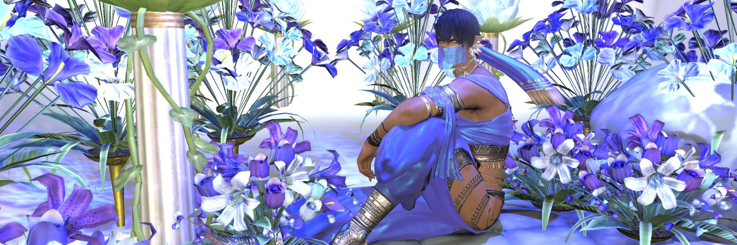 touga❂ banner