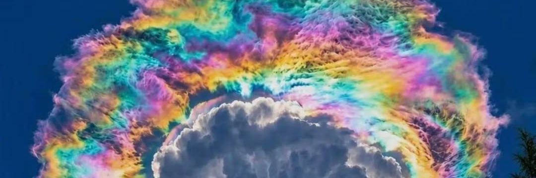 BelenDipsa's profile banner image