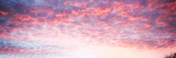 rumerrr Profile Banner